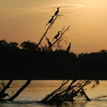  Torneo Internacional del Corrido Llanero