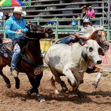  Encuentro Mundial del Coleo