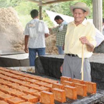  Festival y Reinado de la Panela