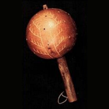 MARACÓN O MARACA COSTEÑA